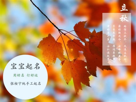 王名字|姓王的男孩名字大全(精选495个)